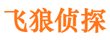 永泰市私家侦探